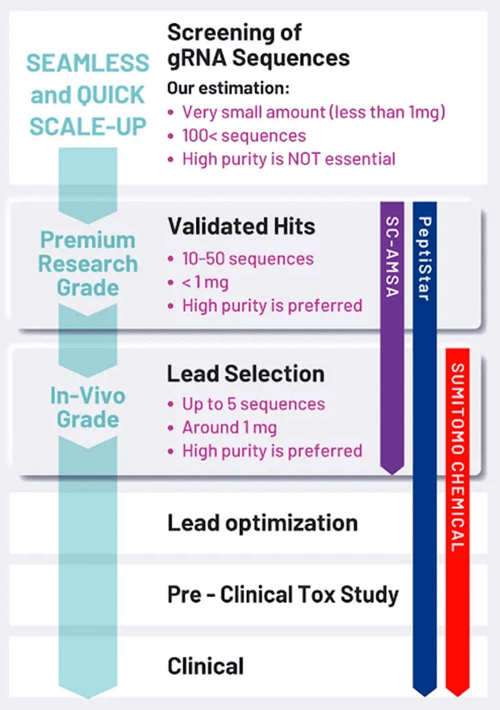 Diagram illustrating the seamless and quick transition: Our consistent gRNA quality facilitates a smooth path from early screening to later-stage development with rapid tech-transfer.